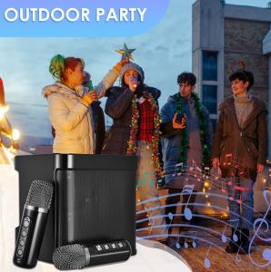 YS-203 Portable Karaoke Dual Microphone Bluetooth support USB/ TF Card/ AUX In Strong Bass Sound Professional Speaker