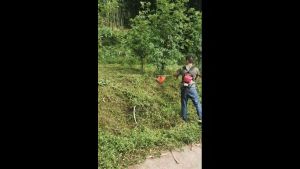 Japan HONDA 4 Stroke 42CC Portable Grass Cutter & Trimmer