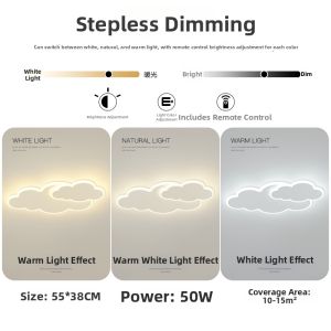 Creative Cloud Ceiling Light