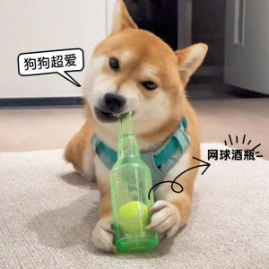 Dog Toy Sound Floating Wine Bottle Molar Long Lasting Rubber Tennis Big Dog Puppy Pet Puzzle Relieving Stuffy Handy Gadget