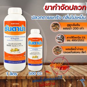 ซันตาน่ายากำจัดปลวก - กำจัดปลวก SUNTANA ปลวกตายยกรัง ฟิโพรนิล