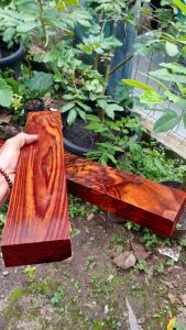 balok sonokeling 35x75 panjang 40cm