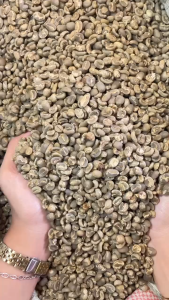 Green Bean Arabika Mandheling - Semiwashed Processed - 1 kg