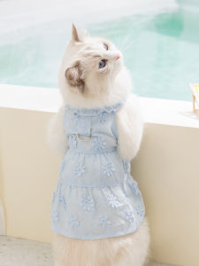 SHENJINGMAO | Rural Lace Summer Lightweight Breathable Dress for Pet