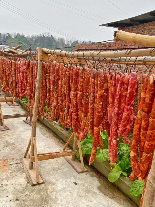 Chongqing Local Pork Sausage Smoked Spicy Cantonese 1pc