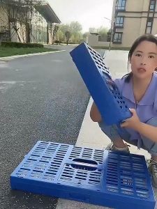 ABS Taiwan Pigeon training box Medium Pigeon Tbox cage Wood Trainng box for pigeon mura Pigeon accessories
