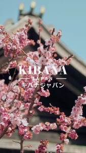 Kibana Japan Advanced Stem Cell Serum (25ml) with 5 Rare Plant Stem Cell Extracts