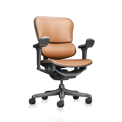 Ergonor | Ergonomic Chair for Long Hours Sitting Home Office Use
