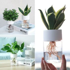 1Pc Lazy Hydroponic Flower Pot Transparent Plastic Resin Soilless Plant Office Home Desk Decoration