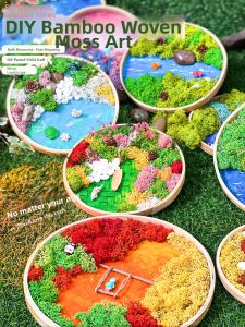 Moss and Plant Woven Bamboo Decorative Art DIY Craft Kit