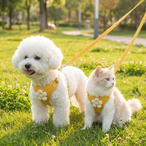Teekland Flower Breathable Pet Harness & Leash Anti Escape Comfortable Vest for Small & Medium Dogs and Cats
