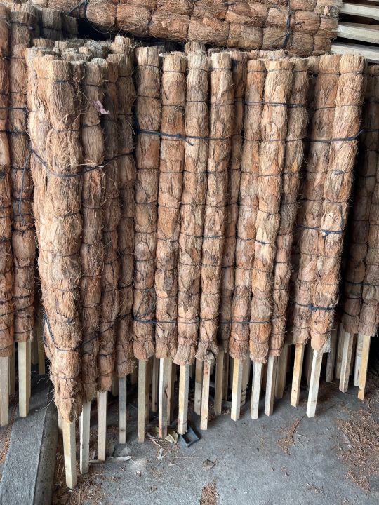 เสาหลักไม้เลื้อยสูง 1 เมตร สำหรับต้นพลู