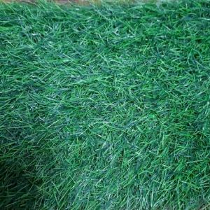 HOT PROMO TERLARIS!! TUDING NGAJI KARAKTER LUCU TUDING NGAJI CUSTOM NAMA TUDING NGAJI AKRILIK TUDING