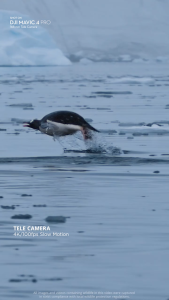 DJI Mavic 4 Pro - Flagship Camera Drone | 360° Active Tracking | 4/3 CMOS Hasselblad Camera | 51-Min Flight Time