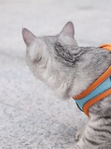 Reflective Nylon Dog Pet Harness Collars Breathable Adjustable Chest Strap Cat Harness Vest With Leash For Small Dogs Chihuahua
