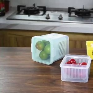 Refrigerator Chopped Green Onion Freshness Box Home Kitchen Ginger Garlic Freshness Box Double-layer Drained with Lid Drained Food Freshness Box