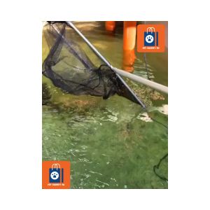 KOI SQUARE FISHING LANDING NET - ADJUSTABLE HANDLE (Available in DIFFERENT SIZES of NET)