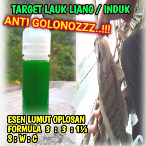 Essen nila media lumut/lukut