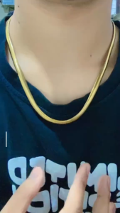 Kalung Stainless Steel Belut Gepeng Jumbo Anti Karat Warna Emas/Silver untuk Pria dan Wanita