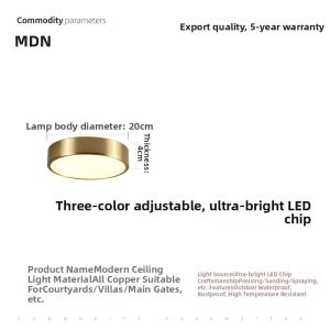 MARTINI | Modern Waterproof Bedroom Study LED Brass Ceiling Light