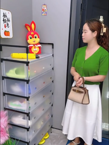 HALOO Multi-Layer Shoe Cabinet with Cover - 2/4/5/6/7 Tier Dustproof Stackable Shoe Rack Organizer Space-Saving Storage