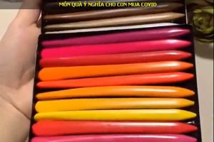 Hộp Bút Màu Hữu Cơ 12-18-24 Cây Cho Bé Yêu Tập Tô Vẽ - Cao Cấp Tự Nhiên An Toàn Không Lem Không Vấy Bẩn Tay.