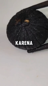 PROMO Black Garlic Kating Premium Alami | Bawang Hitam Super Original | Herbal Asli Natural Premium