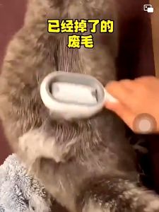 Sisir Sikat Bulu Anjing dan Kucing Besar SPG2 Pet Brush Grooming Dog Cat Large