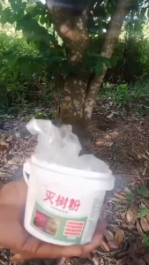 Fast-Acting 500g Tree Killer Granules Hexazinone Root Removal Particle Dispersion Effect Fast Tree-kill powder root removal kill tree Weed and grass killer powder environmental friendly