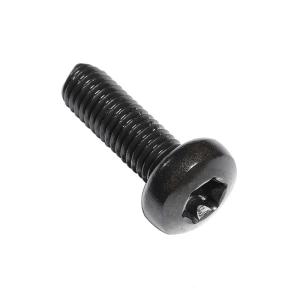 qd | Black 304 Stainless Anti-Theft Round Head Torx Drive Screws