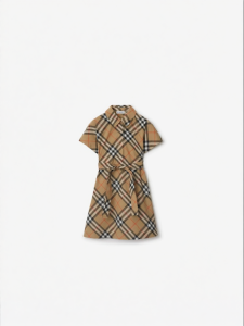 Burberry | Gingham Cotton Short-sleeve Shirt Dress