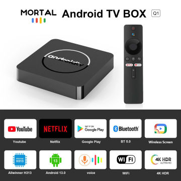 その他 svi10P+ 2024 4GB+64GB Svicloud 10P+ Tv Box 4Gb+64Gb Android 13 Rk3528 8K Media Player