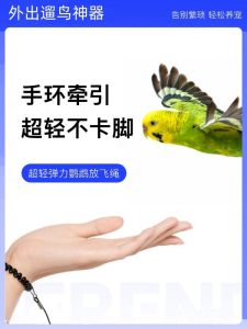สายนำทางสิงโตปีก สายนำทางกิจกรรมกลางแจ้งสำหรับนก พันธุ์นกหยก สายยางยืดสำหรับนกกระต่าย สายนำทางสำหรับนกพิราบ