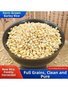 Dehulled Raw Barley Grains