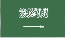 FLAGLINK 90x150 CM Saudi Arabia National Flag For Decoration