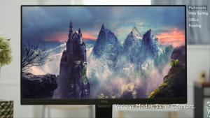 BenQ GW2291 | 21.5 1080p FHD 100Hz Eye-Care Monitor