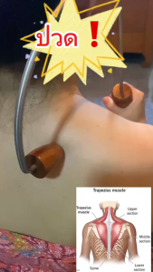 เคียวกดจุด คลายเส้น หลัง บ่า ไหล่ สะบัก เคียวนวดหลัง ไม้นวดหลัง ไม้กดหลังตะขอไม้สักทอง ยาว ๓๕ กว้าง ๒๒ เซนติเมตร