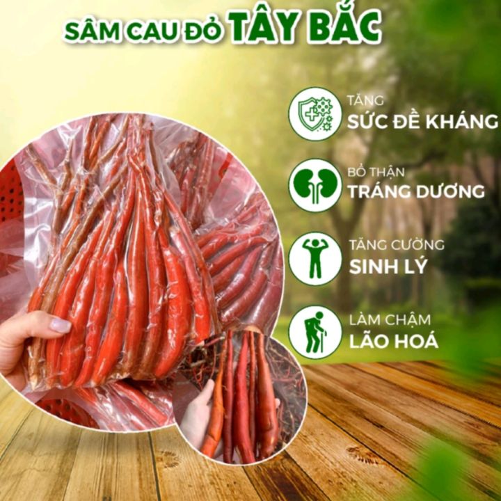 sâm cau đỏ 1kg (hàng đẹp như hình) đã rửa sạch hút chân không | Lazada.vn