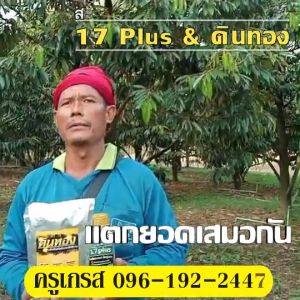 ชุดทำใบ สะสมอาหาร 17 พลัส ใบเขียว ใบใหญ่ ใบยาว สีเข้ม ช่วยในการสังเคราะห์แสง ทำให้พืชสมบูรณ์