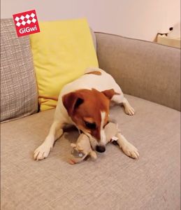 GiGwi Plush Friendz - Plush Dog Toy (with squeaker)
