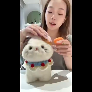 Oldlaiben Cute Cat Plushie Toy with Woven Scarf DIY Dressing Up Stuffed Kitty Doll Plush Doll Gift for Kid