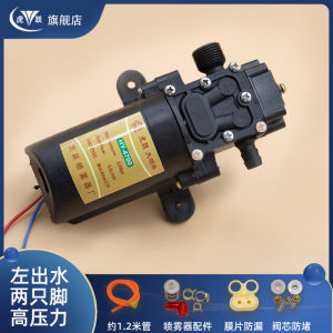 High Pressure Electric Sprayer Parts Pump Head Tiger Leap Agricultural Sprayer Dedicated Pump 12V Motor Garden Supply