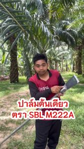 เสียมแทงปาล์ม เสียมเหล็กแหนบ พร้อมด้าม 2 เมตร เสียมตัด SBL M222A ขนาด 3/4/5 นิ้ว และเสียมขุดหน่อกล้วย เสียมขุดดิน เหล็กแทงปาล์ม พร้อมใช้งาน