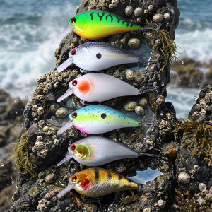 6pcs pcs Fishing set 8.5cm 15g Rattling Shallow Diving Crankbait Artificial Wobbler for Bass Pike Hard Bait Fishing Lure Tackle