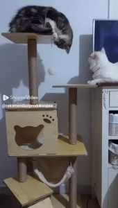 Rumah Kucing Tingkat Cakaran Kucing Kandang Kucing Cat Condo Cat Tree Cat Scrather Mainan Kucing