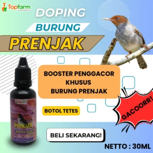 Vitamin Burung Prenjak Cepat Gacor 30ML/ Vitamin Burung Prenjak/ Vitamin Booster Burung Prenjak/ Booster Burung Prenjak/ Booster Penggacor Burung Prenjak/ Vitamin Penggacor Burung Prenjak/ Doping Burung Prenjak