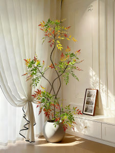 Realistic Bonsai Plant Decorative Indoor Foliage