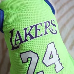 Áo ba lỗ mùa hè chất thun lưới co giãn thoáng mát in hình hoạt hình cho chó mèo thú cưng - Đen Ta Pet shop