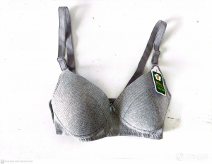 Plum International Bra Model 058