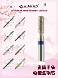 Wilson Diamond Grinding Head Electroplated Straight Tube Russian Pre-Treatment Nail Care Tool Chinese Brand Beauty Equipment